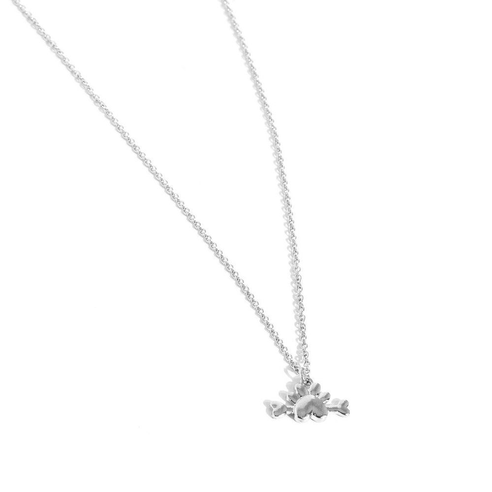 Paparazzi Loyal Companion - Silver